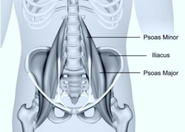 PSOAS | Austin TX